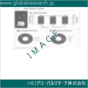 グローバルリサーチ調査資料のイメージ